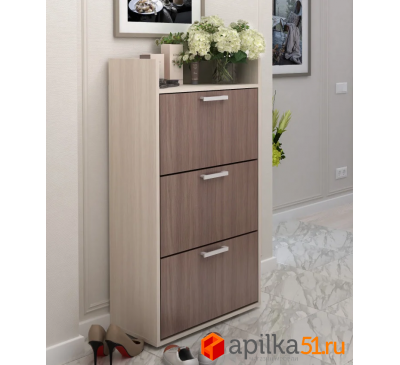 Обувница Дели-2